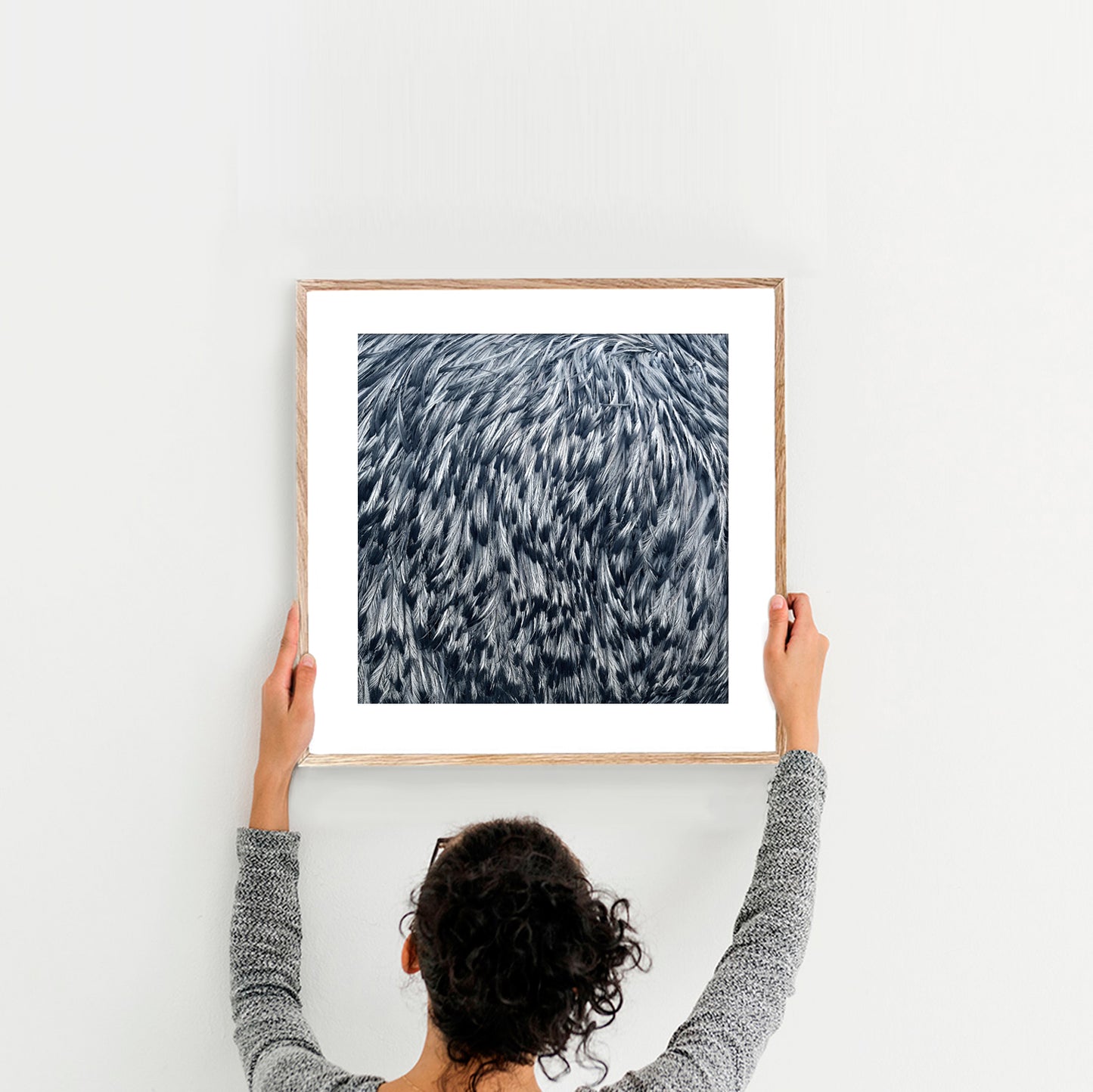 Emu feathers limited edition print