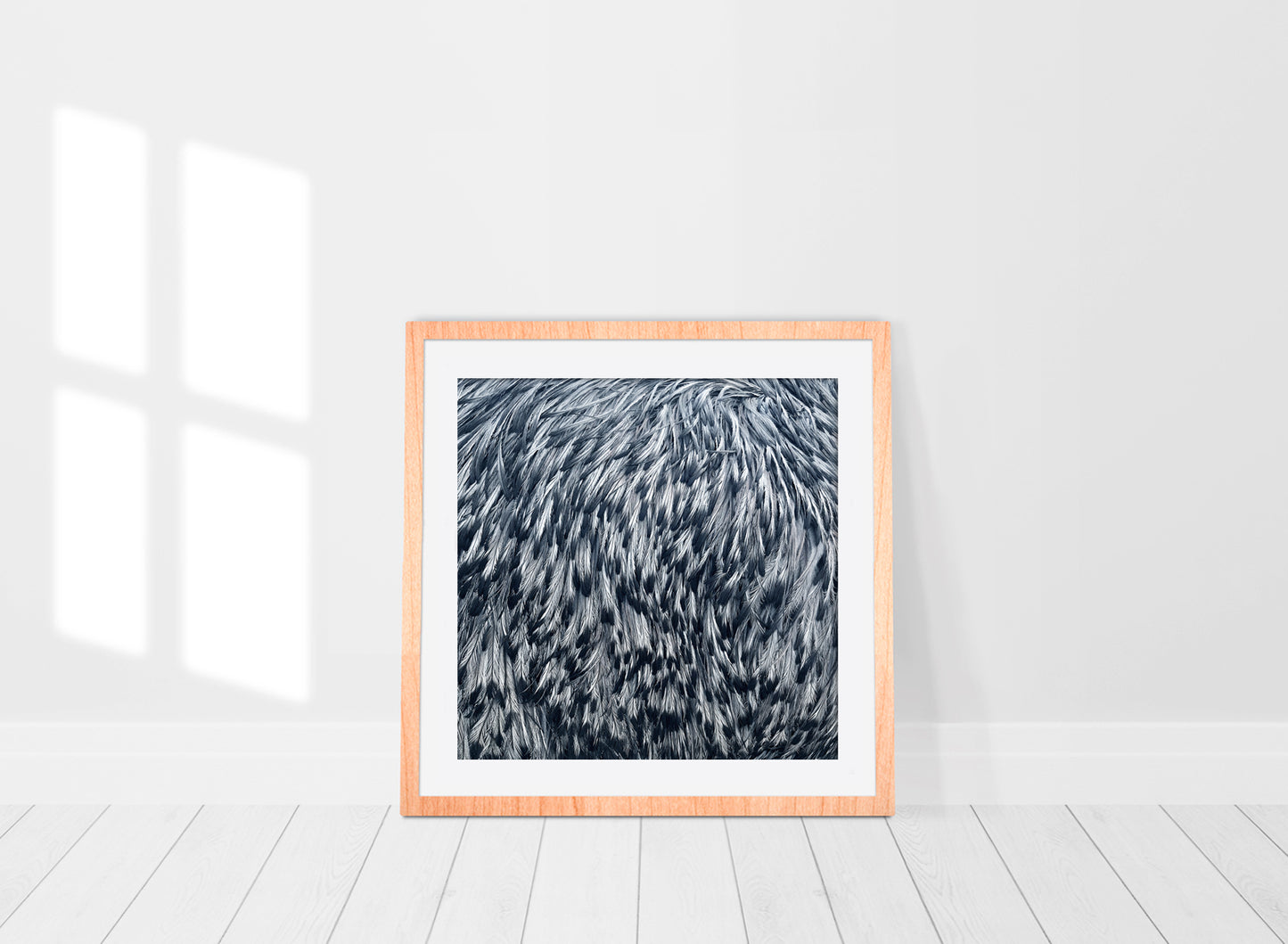 Emu feathers limited edition print