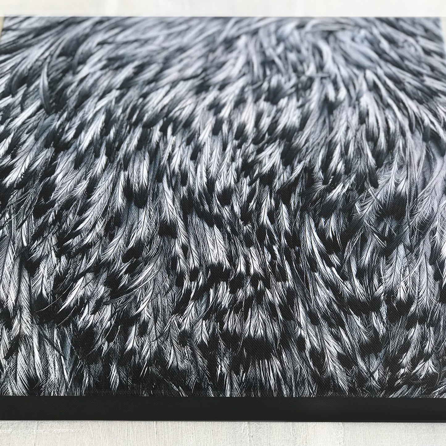 Emu feathers limited edition print