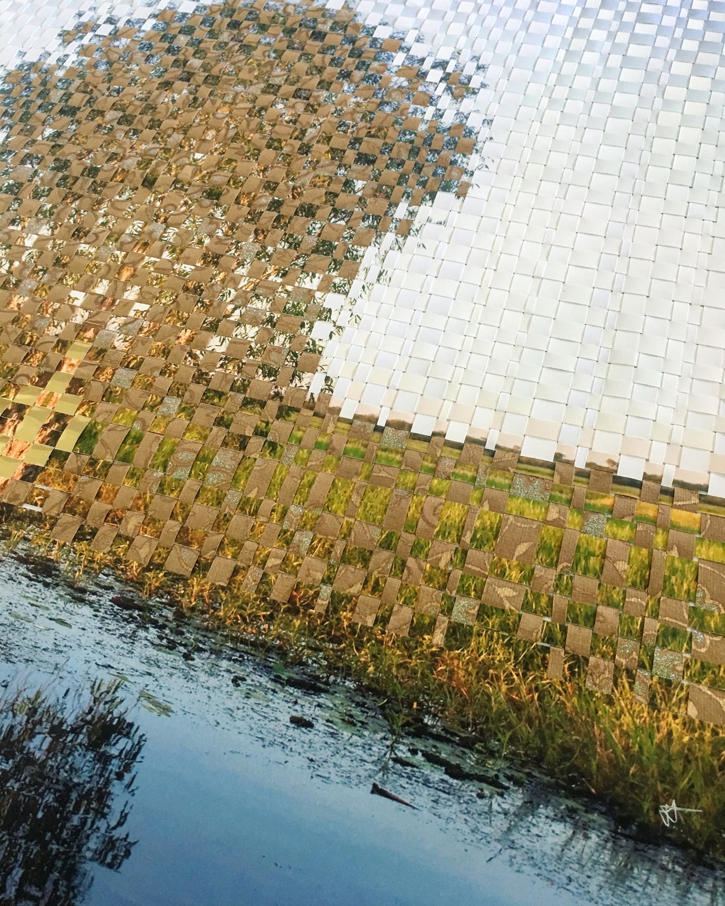 Family tree - Gum Tree Photography & Recycled Paper Weaving