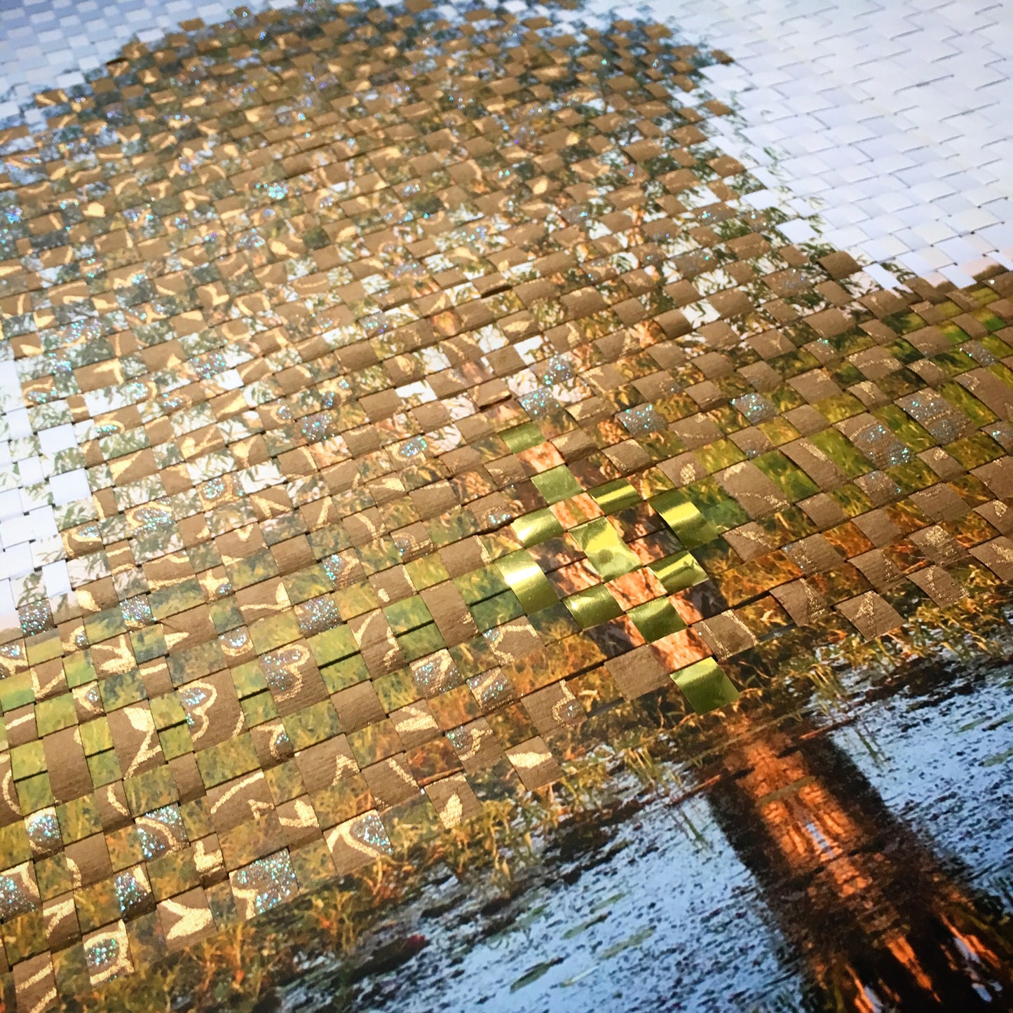 Family tree - Gum Tree Photography & Recycled Paper Weaving