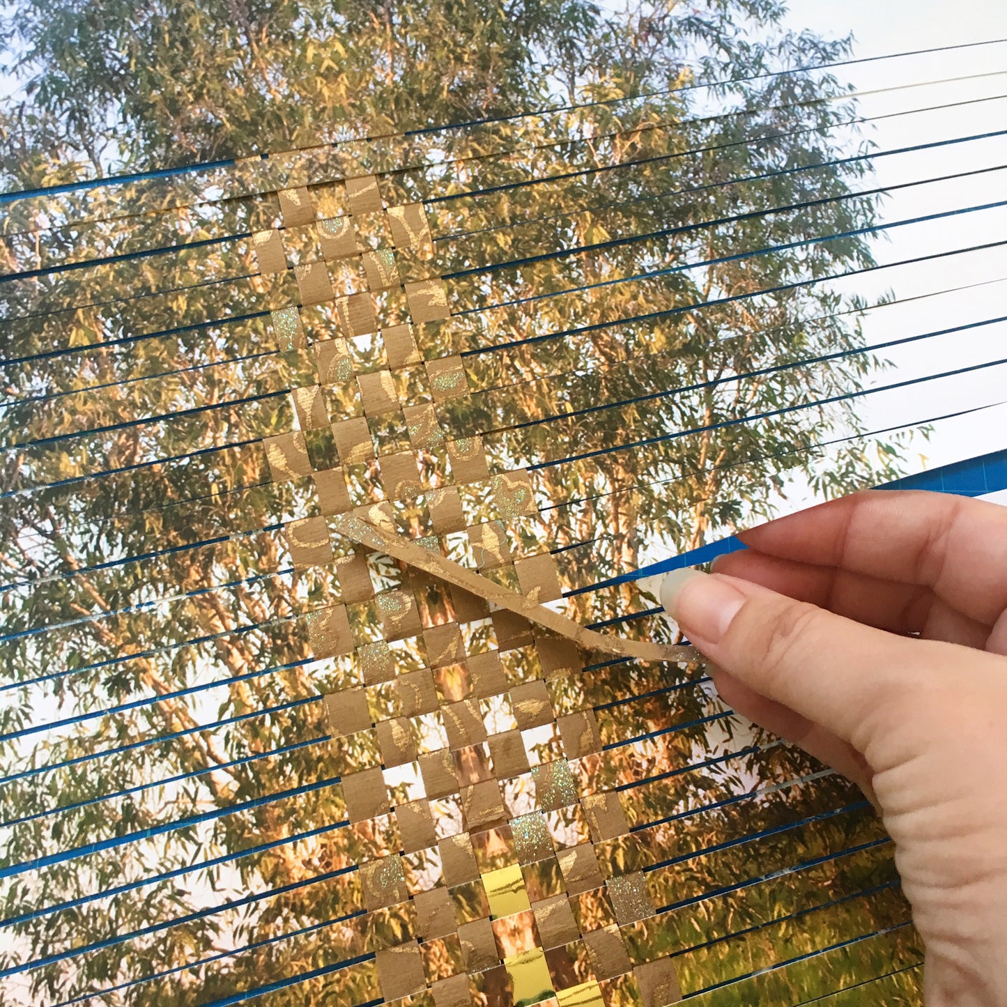 Family tree - Gum Tree Photography & Recycled Paper Weaving