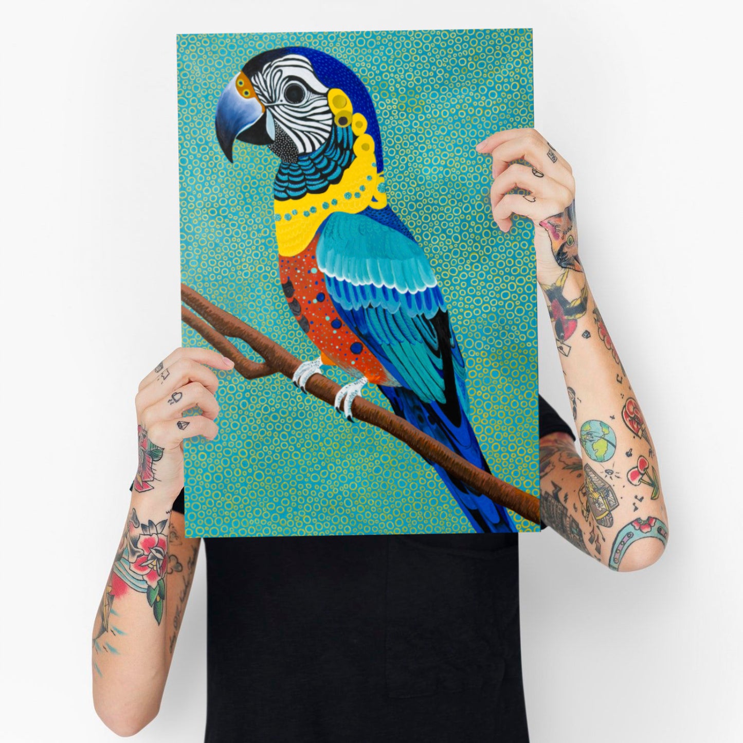 Macaw parrot limited edition print