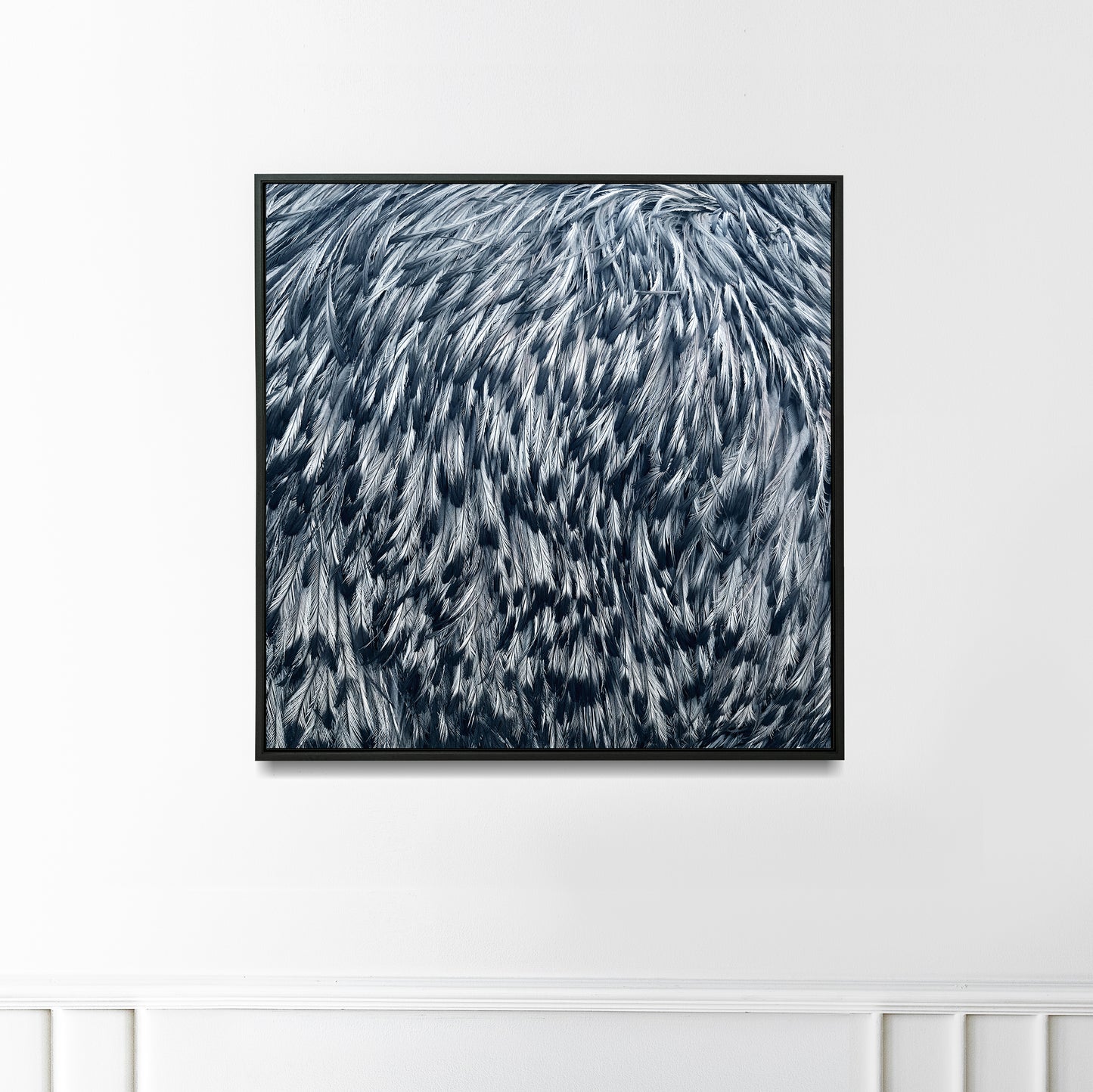 black and white print hanging on wall of a photo of a close up of emu feathers